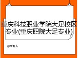 重庆科技职业学院大足校区专业(重庆职院大足专业)