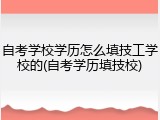自考学校学历怎么填技工学校的(自考学历填技校)