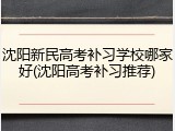 沈阳新民高考补习学校哪家好(沈阳高考补习推荐)