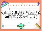 文山富宁县农校毕业生去向如何(富宁农校生去向)