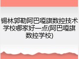 锡林郭勒阿巴嘎旗数控技术学校哪家好一点(阿巴嘎旗数控学校)