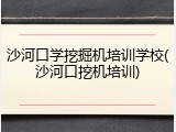 沙河口学挖掘机培训学校(沙河口挖机培训)