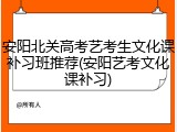 安阳北关高考艺考生文化课补习班推荐(安阳艺考文化课补习)