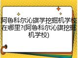阿鲁科尔沁旗学挖掘机学校在哪里?(阿鲁科尔沁旗挖掘机学校)