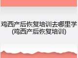 鸡西产后恢复培训去哪里学(鸡西产后恢复培训)
