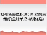 柳州鱼峰单招培训机构哪家最好(鱼峰单招培训优选)