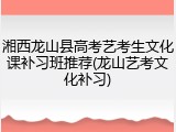 湘西龙山县高考艺考生文化课补习班推荐(龙山艺考文化补习)