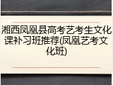 湘西凤凰县高考艺考生文化课补习班推荐(凤凰艺考文化班)