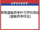 淮南潘集高考补习学校地址(潘集高考校址)