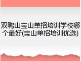 双鸭山宝山单招培训学校哪个最好(宝山单招培训优选)