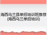 海西乌兰县单招培训班推荐(海西乌兰单招培训)