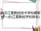 武汉江夏数控技术学校哪家好一点(江夏数控学校排名)