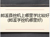 郎溪县挖机上哪里学比较好(郎溪学挖机哪里好)