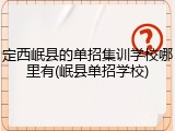 定西岷县的单招集训学校哪里有(岷县单招学校)