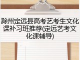 滁州定远县高考艺考生文化课补习班推荐(定远艺考文化课辅导)