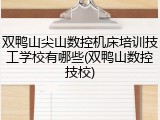 双鸭山尖山数控机床培训技工学校有哪些(双鸭山数控技校)