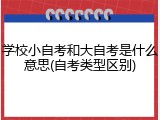 学校小自考和大自考是什么意思(自考类型区别)