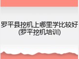 罗平县挖机上哪里学比较好(罗平挖机培训)