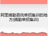 阿里措勤县找单招集训的地方(措勤单招集训)