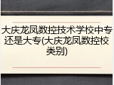 大庆龙凤数控技术学校中专还是大专(大庆龙凤数控校类别)