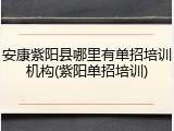 安康紫阳县哪里有单招培训机构(紫阳单招培训)
