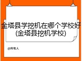 金塔县学挖机在哪个学校好(金塔县挖机学校)
