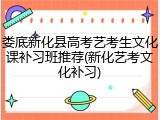娄底新化县高考艺考生文化课补习班推荐(新化艺考文化补习)