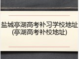 盐城亭湖高考补习学校地址(亭湖高考补校地址)