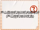 芦山县挖机培训机构哪家好(芦山挖机培训优选)