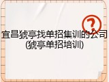 宜昌猇亭找单招集训的公司(猇亭单招培训)