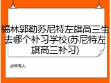 锡林郭勒苏尼特左旗高三生去哪个补习学校(苏尼特左旗高三补习)