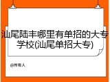 汕尾陆丰哪里有单招的大专学校(汕尾单招大专)
