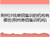 荆州沙找单招集训的机构有哪些(荆州单招集训机构)