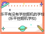 乐平有没有学挖掘机的学校(乐平挖掘机学校)