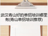 武汉青山好的单招培训哪里有(青山单招培训推荐)