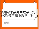 滨州邹平县高中数学一对一补习(邹平高中数学一对一)
