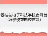 攀枝花电子科技学校官网首页(攀枝花电校官网)