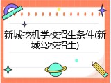 新城挖机学校招生条件(新城驾校招生)