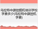 乌拉特中旗挖掘机培训学校学费多少(乌拉特中旗挖机学费)