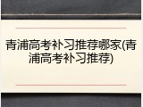 青浦高考补习推荐哪家(青浦高考补习推荐)