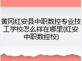 黄冈红安县中职数控专业技工学校怎么样在哪里(红安中职数控校)