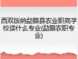 西双版纳勐腊县农业职高学校读什么专业(勐腊农职专业)