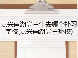嘉兴南湖高三生去哪个补习学校(嘉兴南湖高三补校)