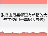 张掖山丹县哪里有单招的大专学校(山丹单招大专校)