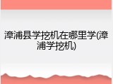 漳浦县学挖机在哪里学(漳浦学挖机)