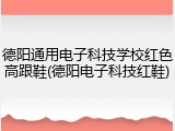 德阳通用电子科技学校红色高跟鞋(德阳电子科技红鞋)