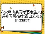六安霍山县高考艺考生文化课补习班推荐(霍山艺考文化课辅导)
