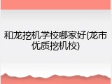 和龙挖机学校哪家好(龙市优质挖机校)