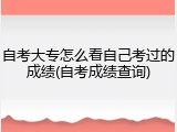 自考大专怎么看自己考过的成绩(自考成绩查询)
