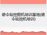 德令哈挖掘机培训基地(德令哈挖机培训)